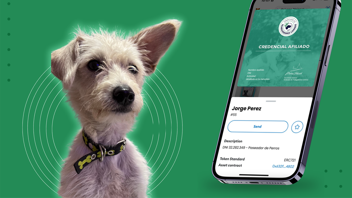La innovación de la tecnología blockchain en beneficio de las mascotas y los trabajadores. (Foto Pala)