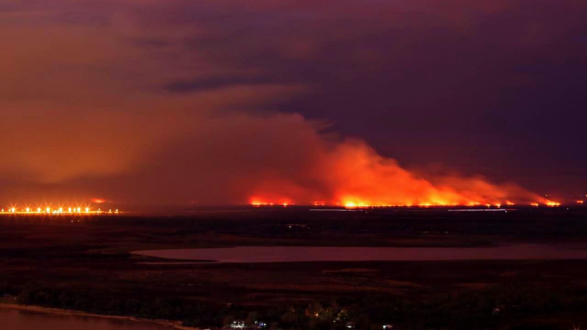 Incendios en el Paraná: ya se quemaron 90.000 hectáreas, Entre Ríos declara emergencia ambiental y sigue la polémica por la ganadería