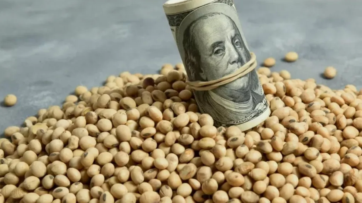 Cuánto espera recaudar el Gobierno con el dólar soja (Foto: Twitter)