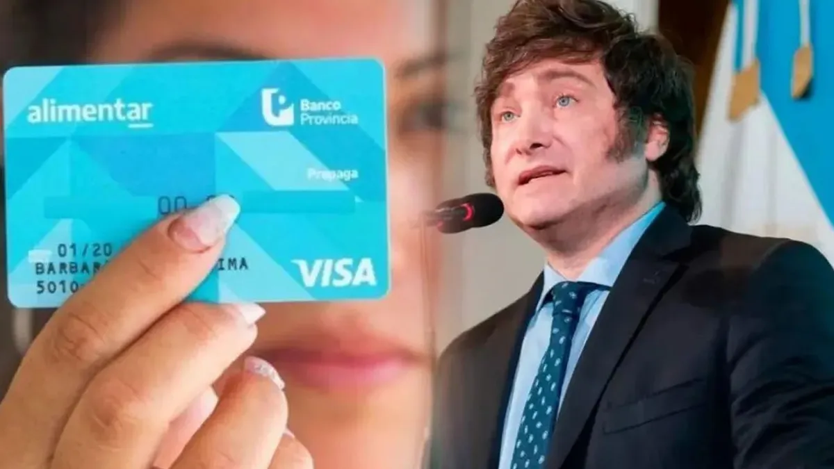 La novedad sobre la Tarjeta Alimentar de ANSES para noviembre (Foto: archivo).