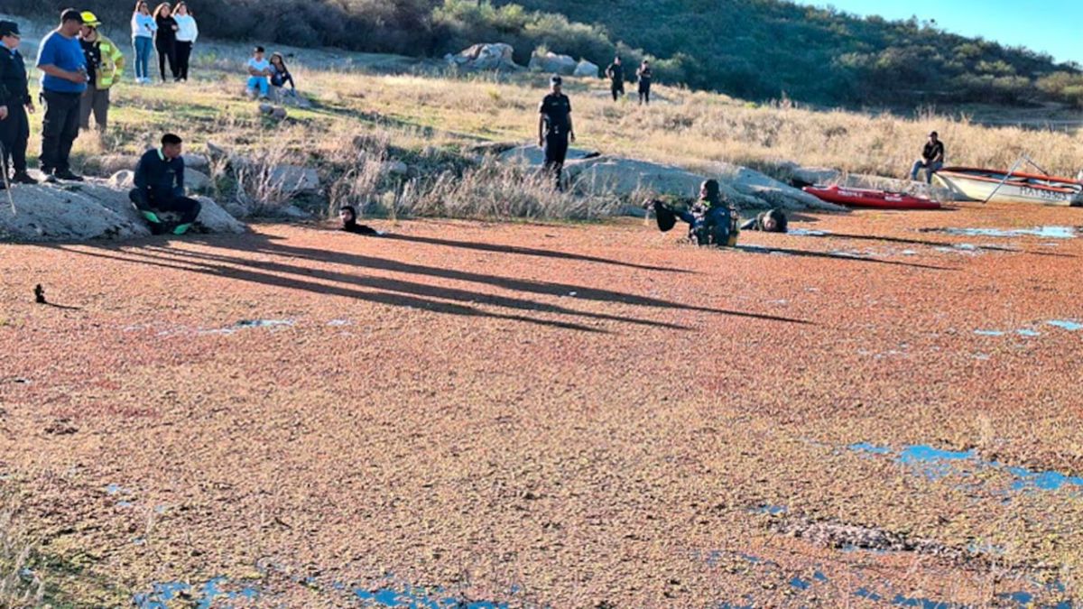 La inquietante hip&oacute;tesis que podr&iacute;a explicar la sorpresiva muerte de Cristian Fink y su hijo de 3 a&ntilde;os. (Foto: gentileza El Doce)