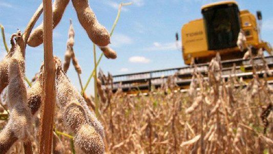 Llegaron las lluvias: la zona núcleo empieza a recuperar su nivel hídrico