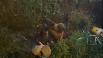 Brutal pelea de tres chicas en una zanja llena de barro a la salida de un boliche