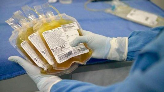 El Gobierno definió el protocolo para el uso de plasma convaleciente y suero equino en pacientes con coronavirus