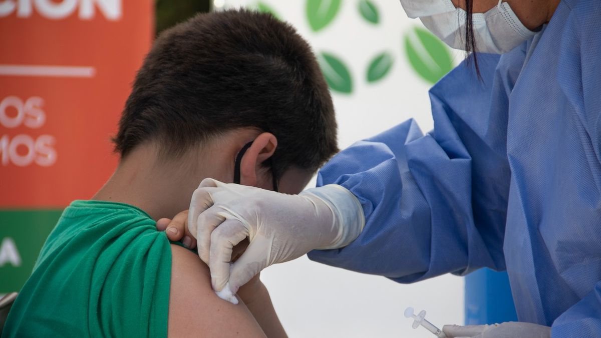 Completar los esquemas antes del comienzo del ciclo lectivo es una medida eficaz para reducir el riesgo de contagios y prevenir formas graves de muchas enfermedades