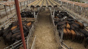 El Mercado de Liniers cierra sus puertas luego de 122 años de remates: ¿cómo es el nuevo predio de Cañuelas?