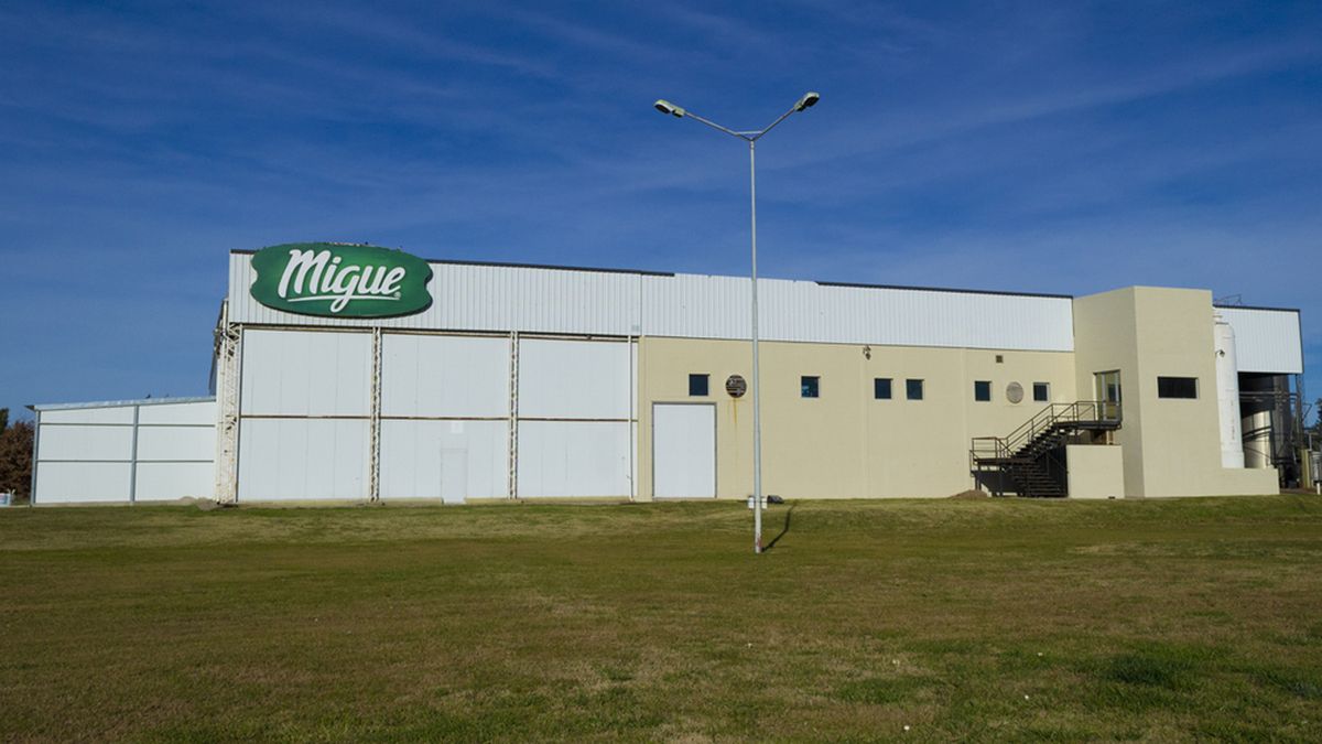 La fábrica en Vedia que Miguel proyecta ampliar durante el 2022. 