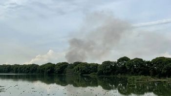 Incendio en la Reserva Ecológica Costanera Sur: bomberos lograron controlar el fuego