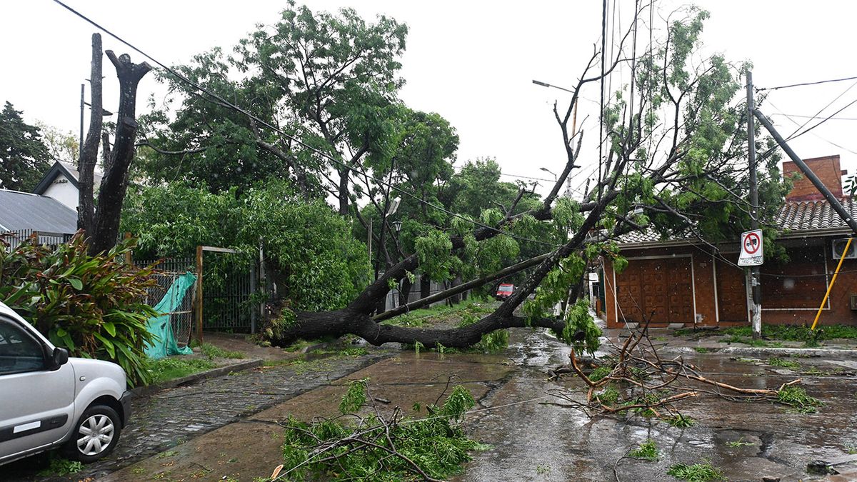 Rige un alerta naranja por tormentas severas en 4 provincias. (Foto: archivo)