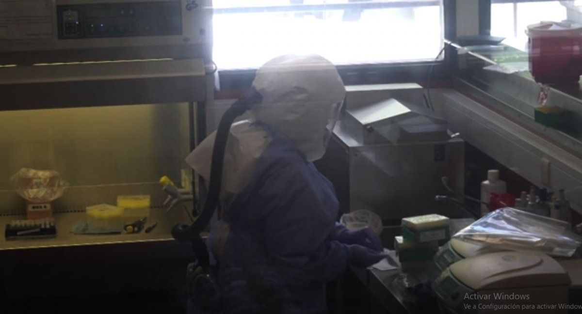 En el instituto ANLIS-Malbrán analiza las distintas cepas que se han detectado en nuestro país ( Foto: AP)