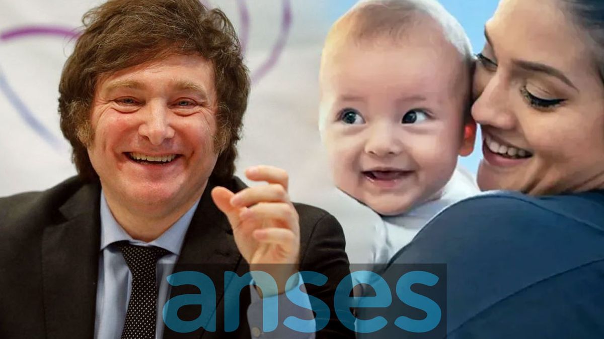 La medida de la Ley Bases que cambió la Asignación por Maternidad. (Foto: archivo) La medida de la Ley Bases que cambió la Asignación por Maternidad. (Foto: archivo)