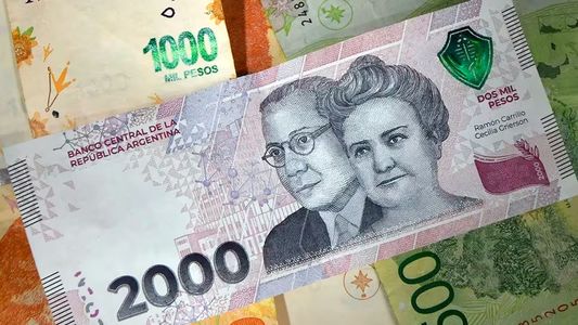 PLAZO FIJO en la era Milei: cuánto gano depositando $100 mil por mes con la nueva tasa