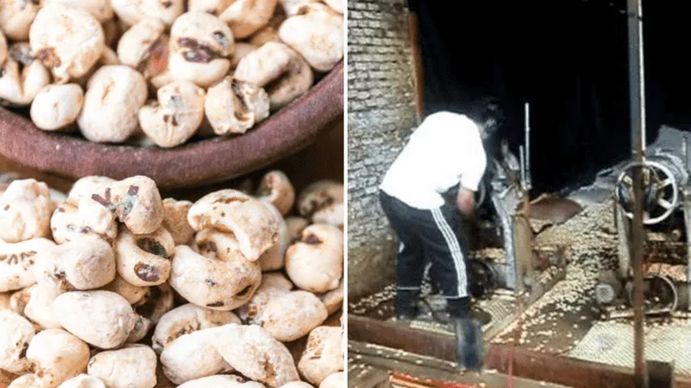Impactante video: la fábrica que se volvió viral por los cañones lanza tutucas