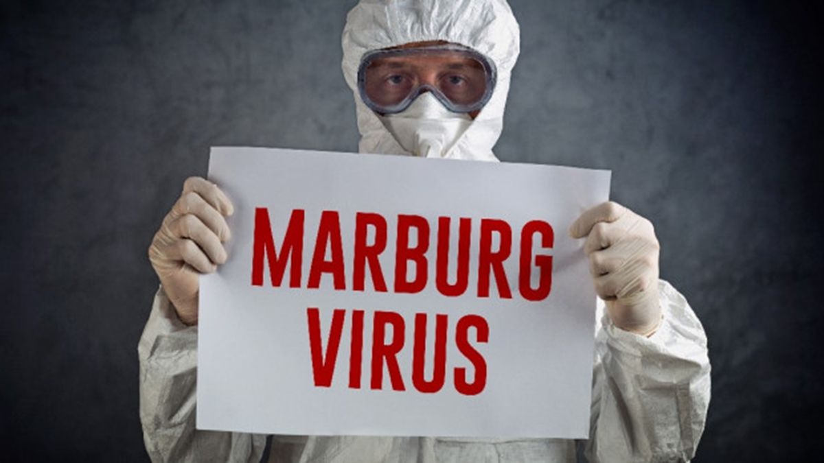 Virus de Marburgo: alta mortalidad, parentezco con el Ébola y dos muertes en Ghana que encienden las alarmas