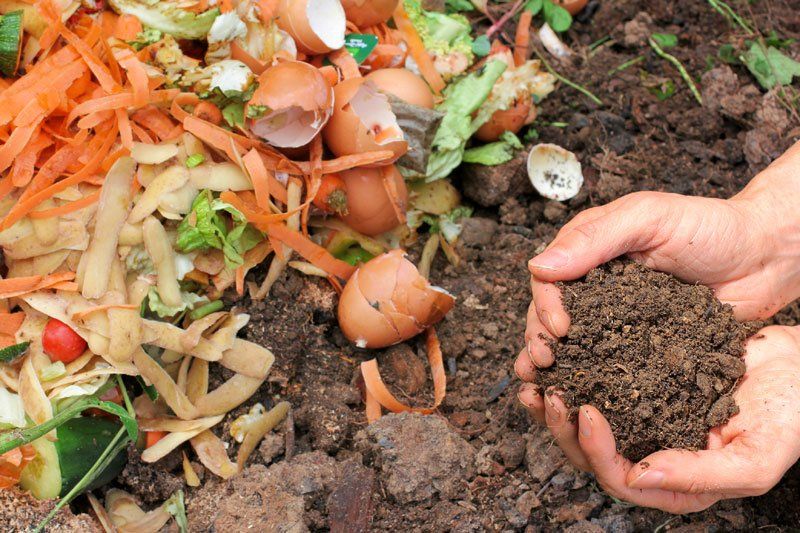 ¿Cómo hacer compost?