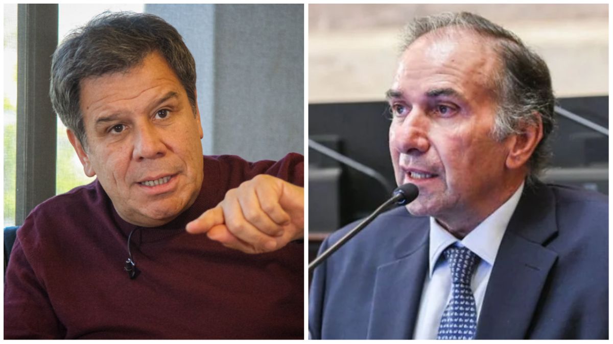 Humberto Schiavoni apuntó contra Facundo Manes y lo acusó de oportunista.