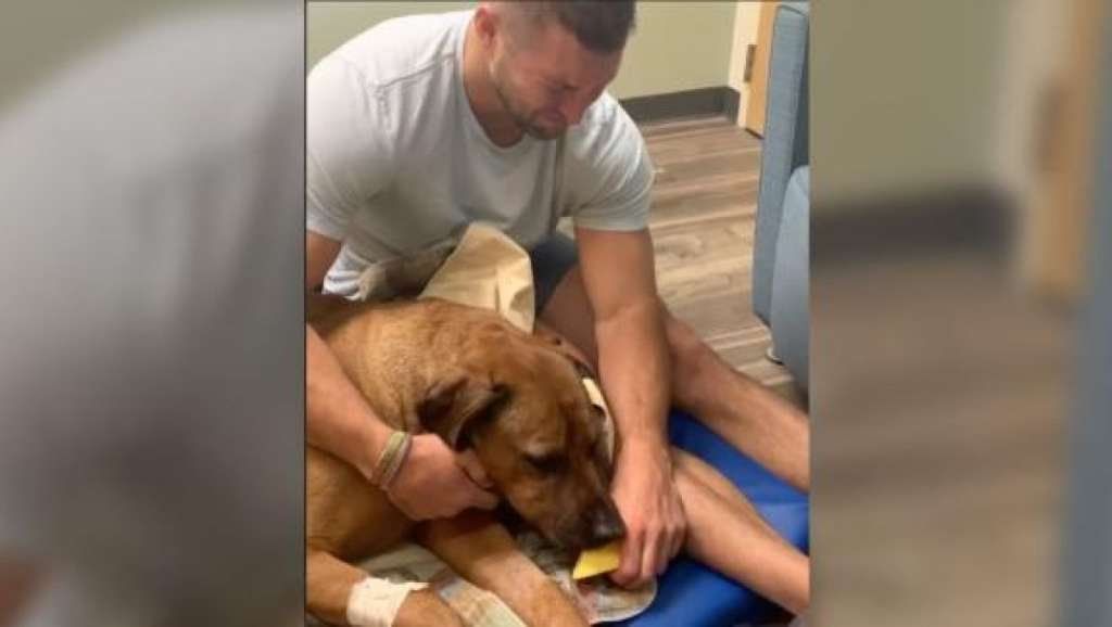Video: La conmovedora despedida de un deportista a su perro, mientras le da de comer por última vez