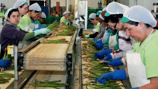 Día de la mujer: la brecha salarial es la misma que hace 20 años