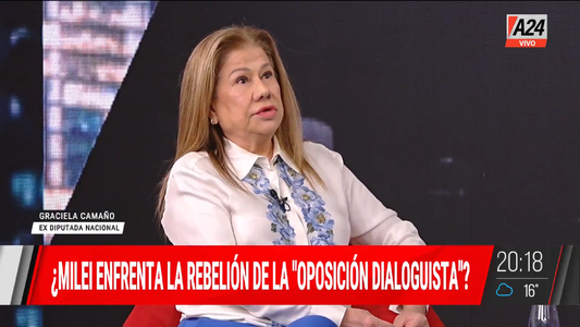 Graciela Camaño: La pareja de los hermanos Milei es muy extraña