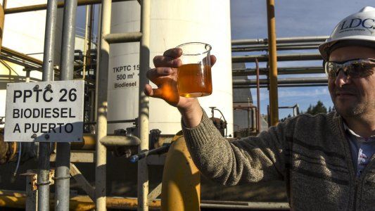 La decisión del Gobierno de aumentar el biodiésel provocaría una nueva suba de los combustibles