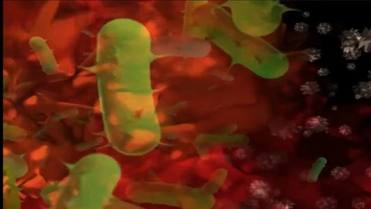 Terror en Estados Unidos por la muerte de un joven por la ameba comecerebros: qué es y cómo ataca