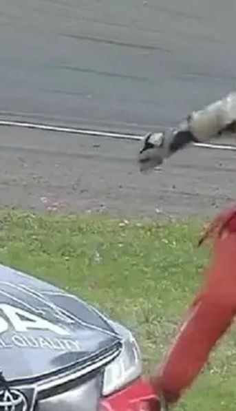Locura en el Turismo Nacional: una corredora se enfureció y terminó a las patadas contra el auto de un rival