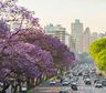 El clima este domingo en Buenos Aires y el pronóstico del SMN para el resto de la semana
