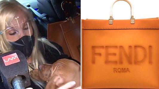 Cuánto vale la cartera que usó Susana Giménez en su regreso al país