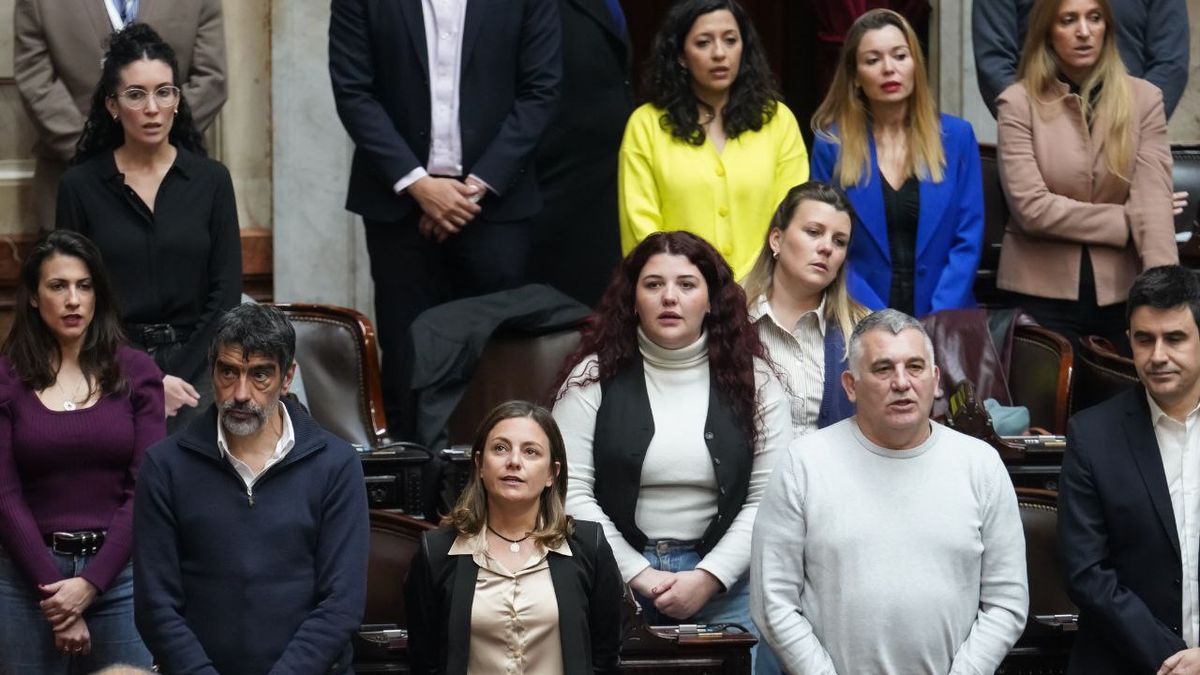 El bloque de Unión por la Patria fue uno de los que impulsó el tratamiento de los proyectos de ley en el recinto. (Foto: archivo).