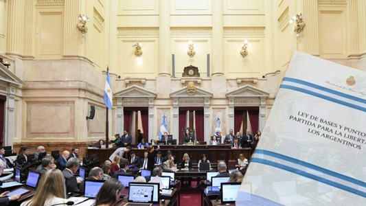 LEY BASES: qué se aprobó en el Senado