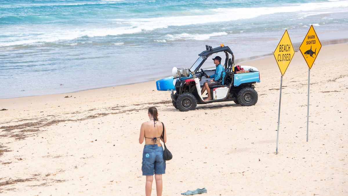 La policía costera vigila el mar por los tiburones. Los carteles son claros: está prohibido bañarse. (Foto: Reuters)