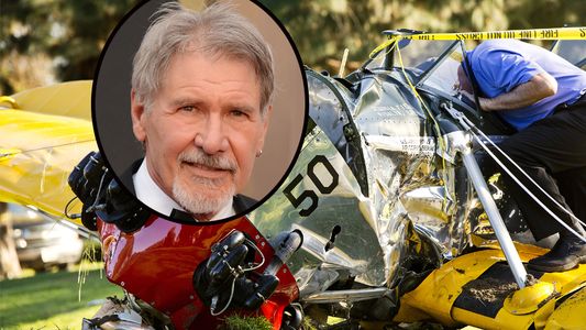 Impactantes imágenes de la avioneta en que volaba Harrison Ford