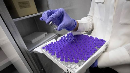 Covid-19: la circulación de la variante Gamma es la que predomina en el país