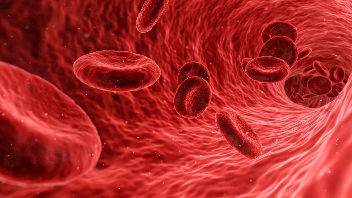 ¿Qué es la hemofilia y cuáles son los tratamientos disponibles? (Foto: Pixabay)