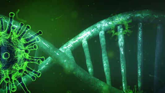 Coronavirus: alerta mundial por BA.2.75, la variante de Ómicron que en cinco días es responsable del 18% de los casos