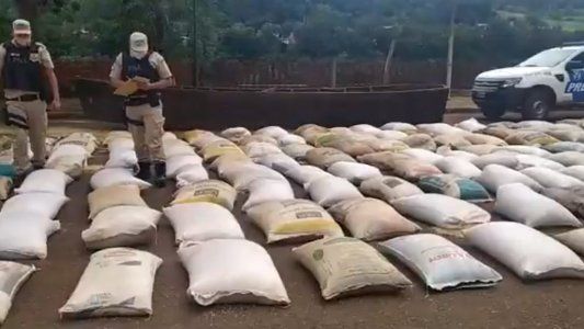 Alta presión impositiva lleva al surgimiento de la soja blue