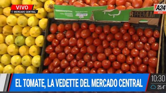 Tras la polémica del precio del tomate, ¿a cuánto está?