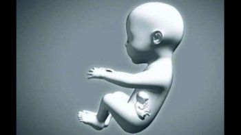 El caso de la bebé que nació embarazada de su hermano gemelo sigue conmocionando al mundo