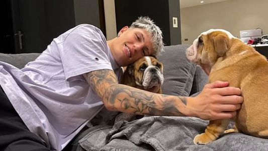 Final feliz: Garnacho perdió a sus perros y sorprendió con un increíble regalo a quien los rescató