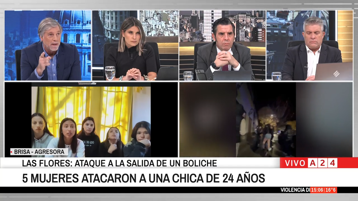 La defensa de las cinco jóvenes acusadas de atacar a una chica en un boliche de Las Flores (Foto: captura de pantalla)