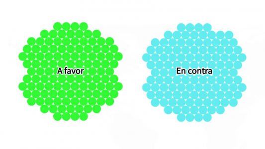Legalización del aborto: mirá cómo votó cada diputado y las distintas posturas en cada bloque