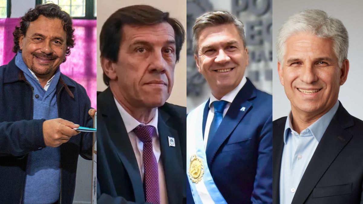 Elecciones provinciales