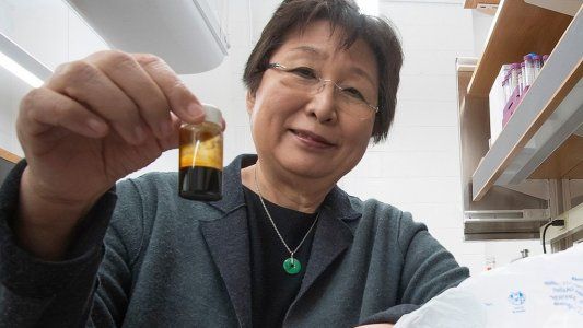 Investigadores encontraron una forma de convertir plástico en combustible