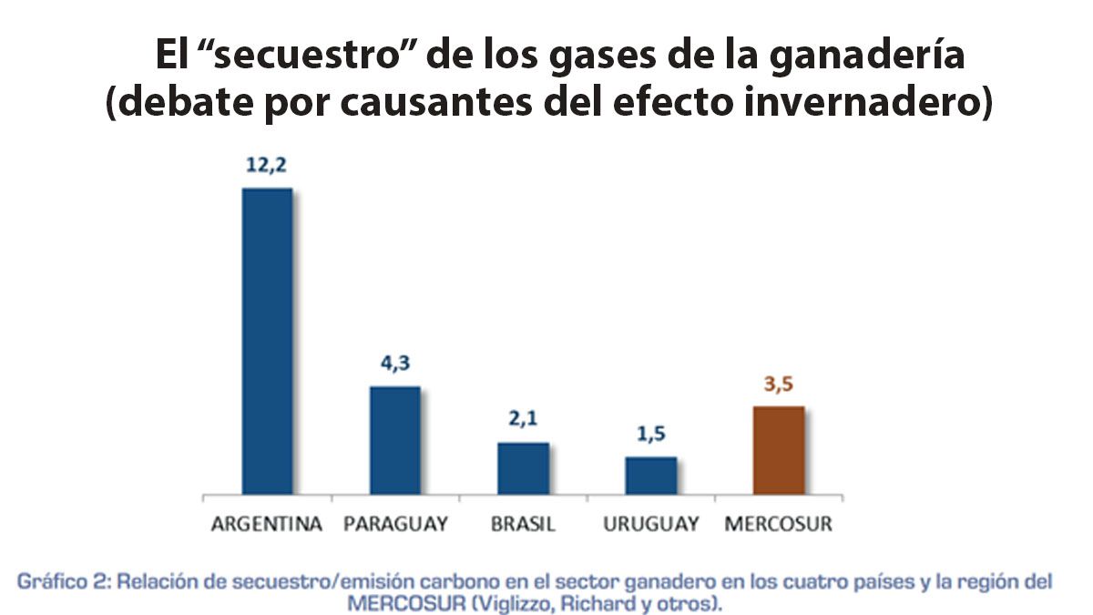 Trabajos del INTA demuestran que el ganado no es tan contaminante como se se&ntilde;ala desde Europa o las Naciones Unidas (Foto: INTA).