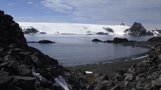 Los glaciares del mundo están perdiendo hielo a un ritmo récord, ¿qué significa para el futuro?