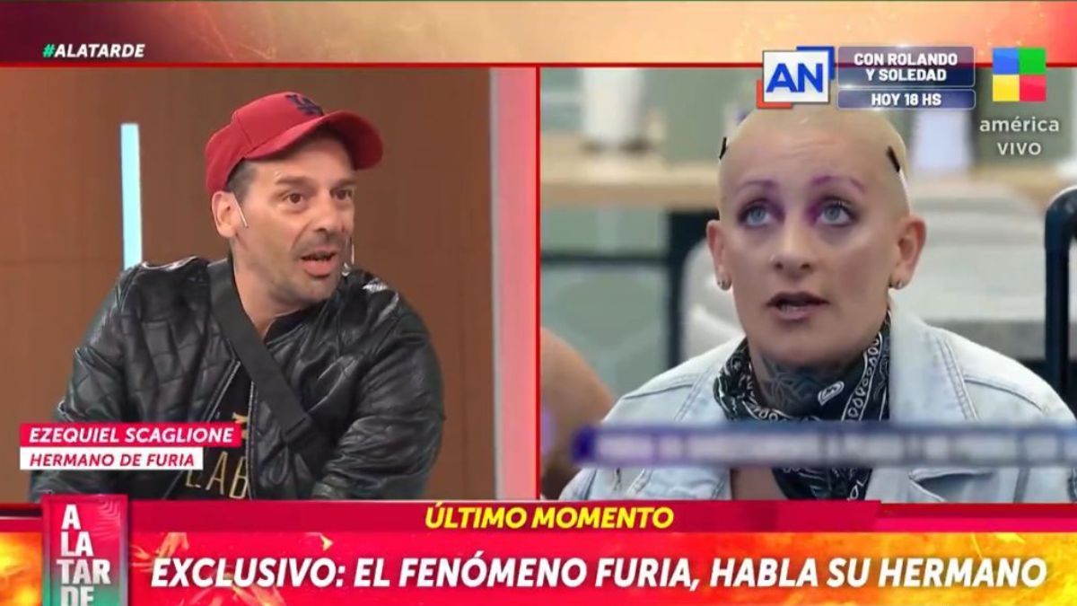 Hermano de Furia