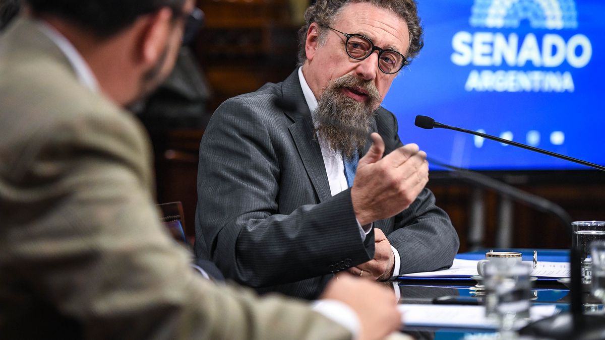 El senador nacional del Frente de Todos Alfredo Luenzo afirmó este miércoles que presentará un proyecto de ley para declarar a internet como servicio público esencial.&nbsp;