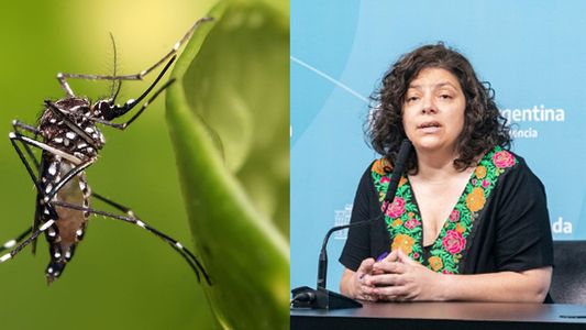 Carla Vizzotti señaló que la curva de casos de dengue se está amesetando