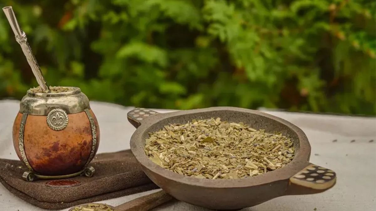 Mezclar yerba con vinagre: para qué sirve este truco y por qué lo recomiendan. (Foto: Archivo)