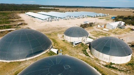 Aprueban ley de promoción de bioenergías en Córdoba